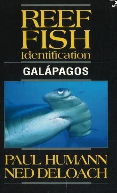 Reef Fish Identification Galapagos: Galapagos
