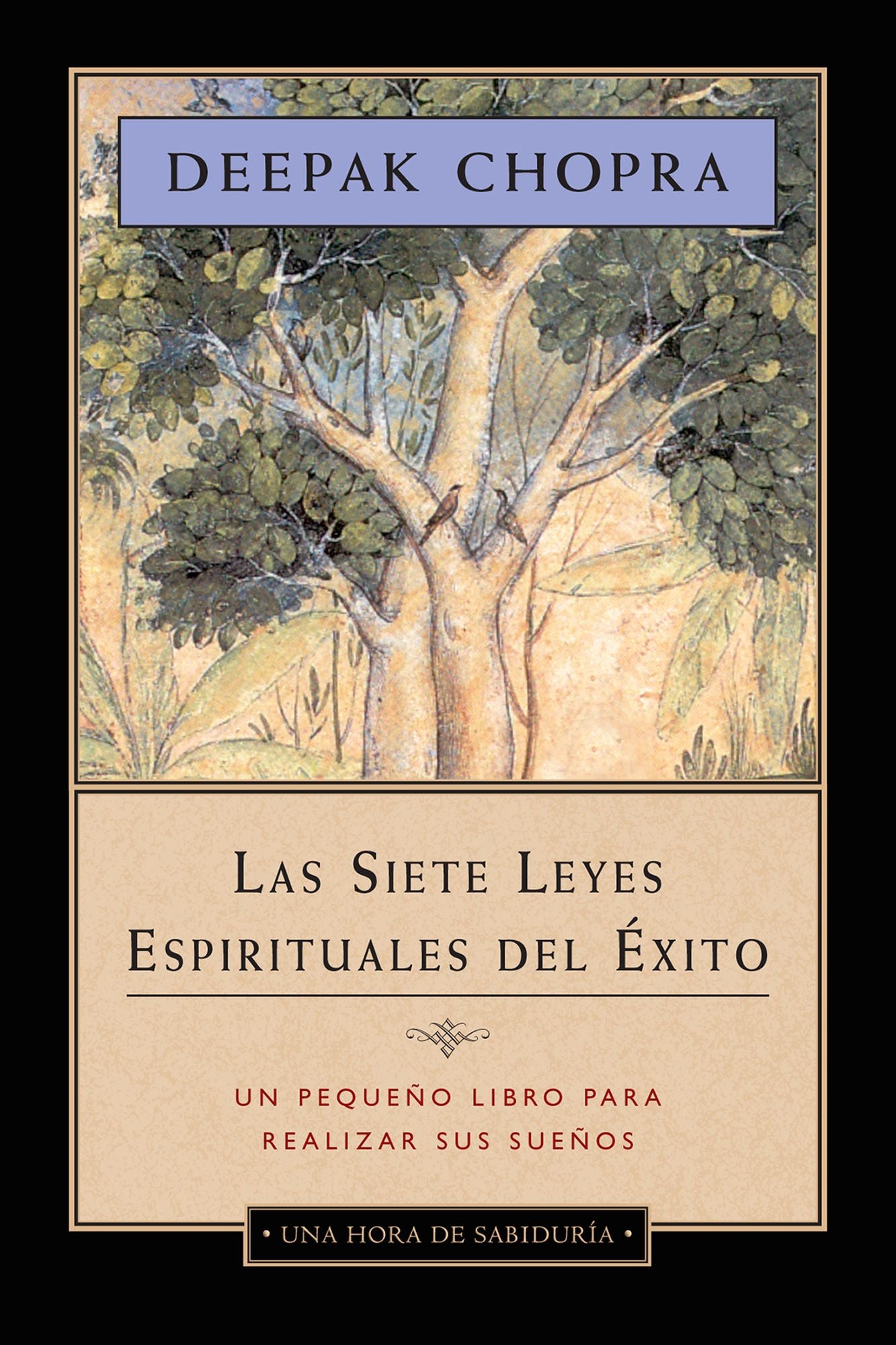Las siete leyes espirituales del exito (The Seven Spiritual Laws of Success)