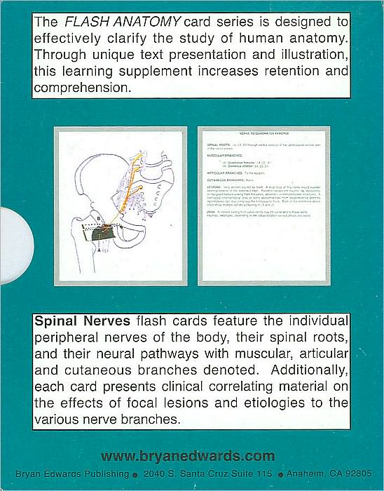 Spinal Nerves: Flash Cards (Flash Anatomy Card Series)