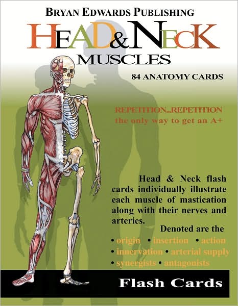 Head and Neck Muscles: Flash Cards