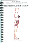 The Reproductive System (Organs of the Human Anatomy Series)