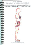 The Reproductive System (Organs of the Human Anatomy Series)