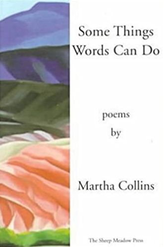 Some Things Words Can Do [Includes A History of Small Life on a Windy Planet, orig. pub. in 1993]