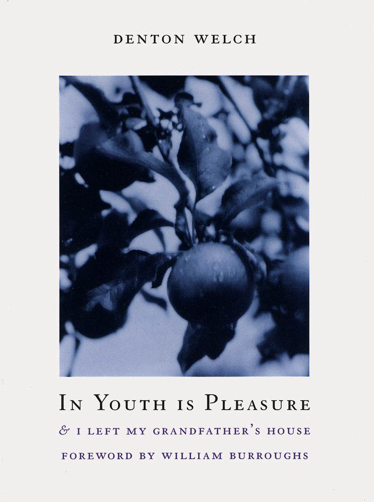 In Youth Is Pleasure: & I Left My Grandfather's House By Denton Welch