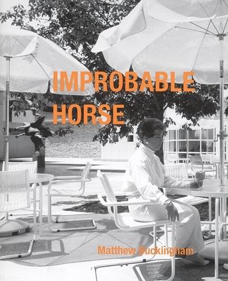 Matthew Buckingham: Improbable Horse