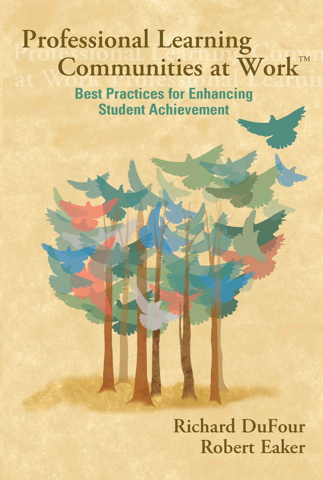Professional Learning Communities at Work: Best Practices for Enhancing Student Achievement