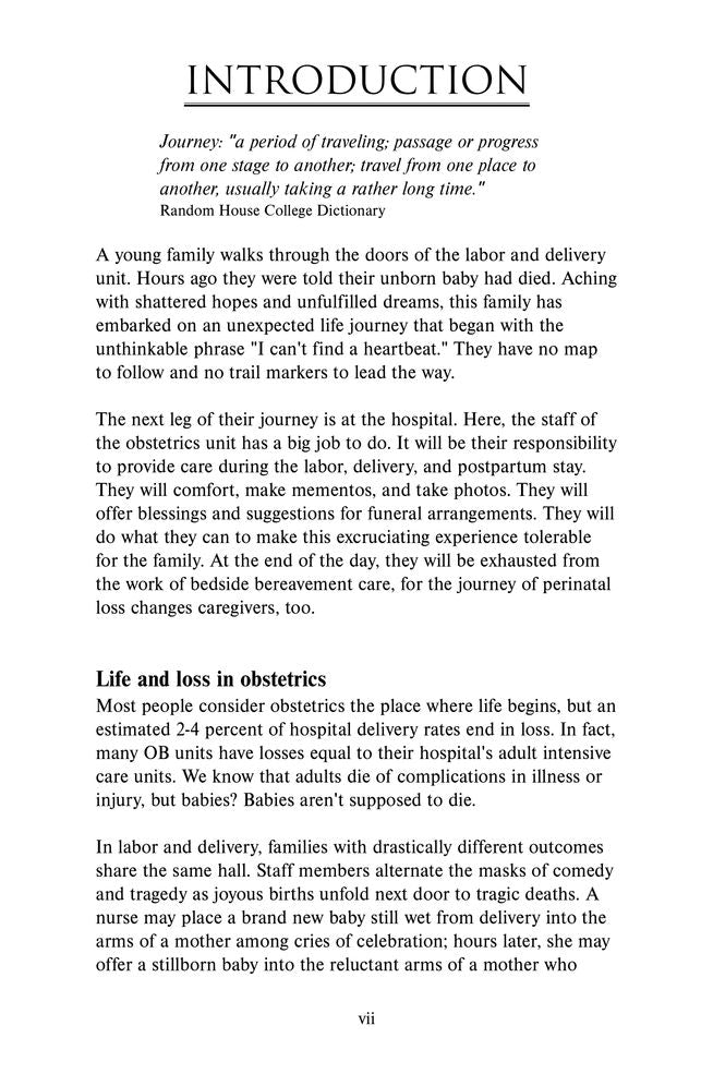 Companioning at a Time of Perinatal Loss: A Guide for Nurses, Physicians, Social Workers, Chaplains and Other Bedside Caregivers