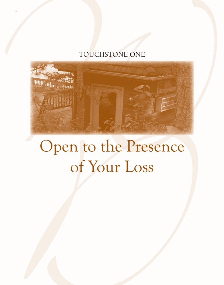 The Wilderness of Divorce: Finding Your Way
