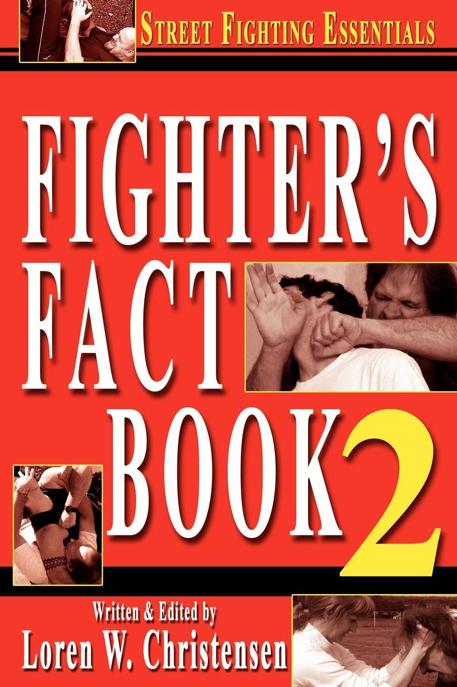 Fighter's Fact Book 2