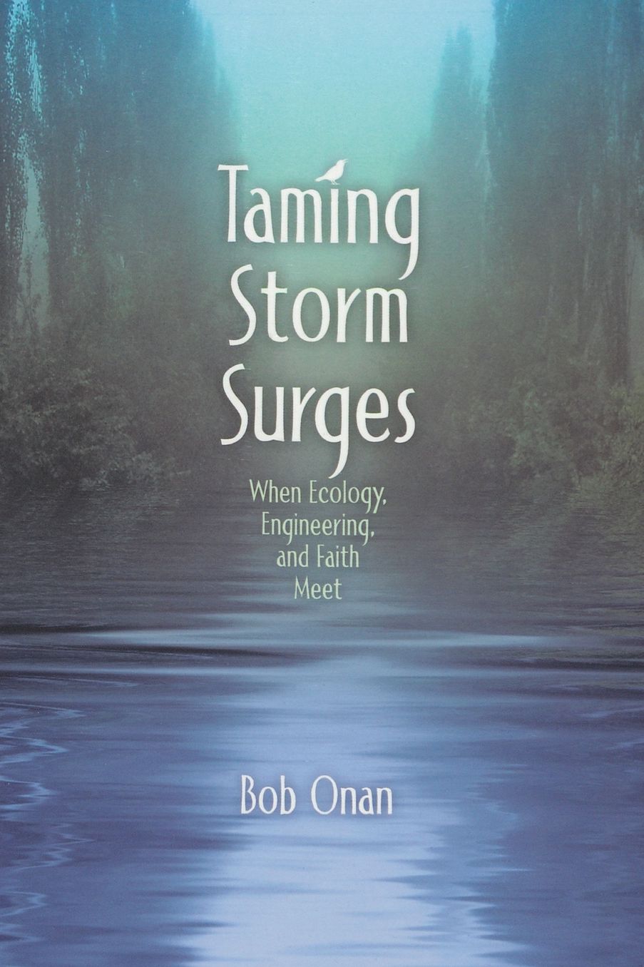 Taming Storm Surges