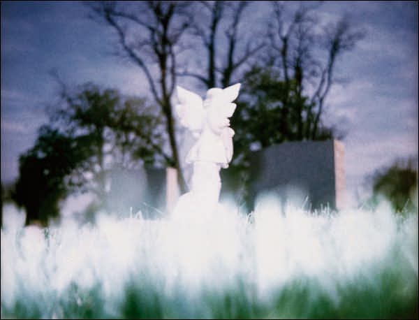 Robert Beck: Dust