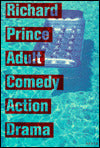 Adult Comedy Action Drama: An Artist's Book