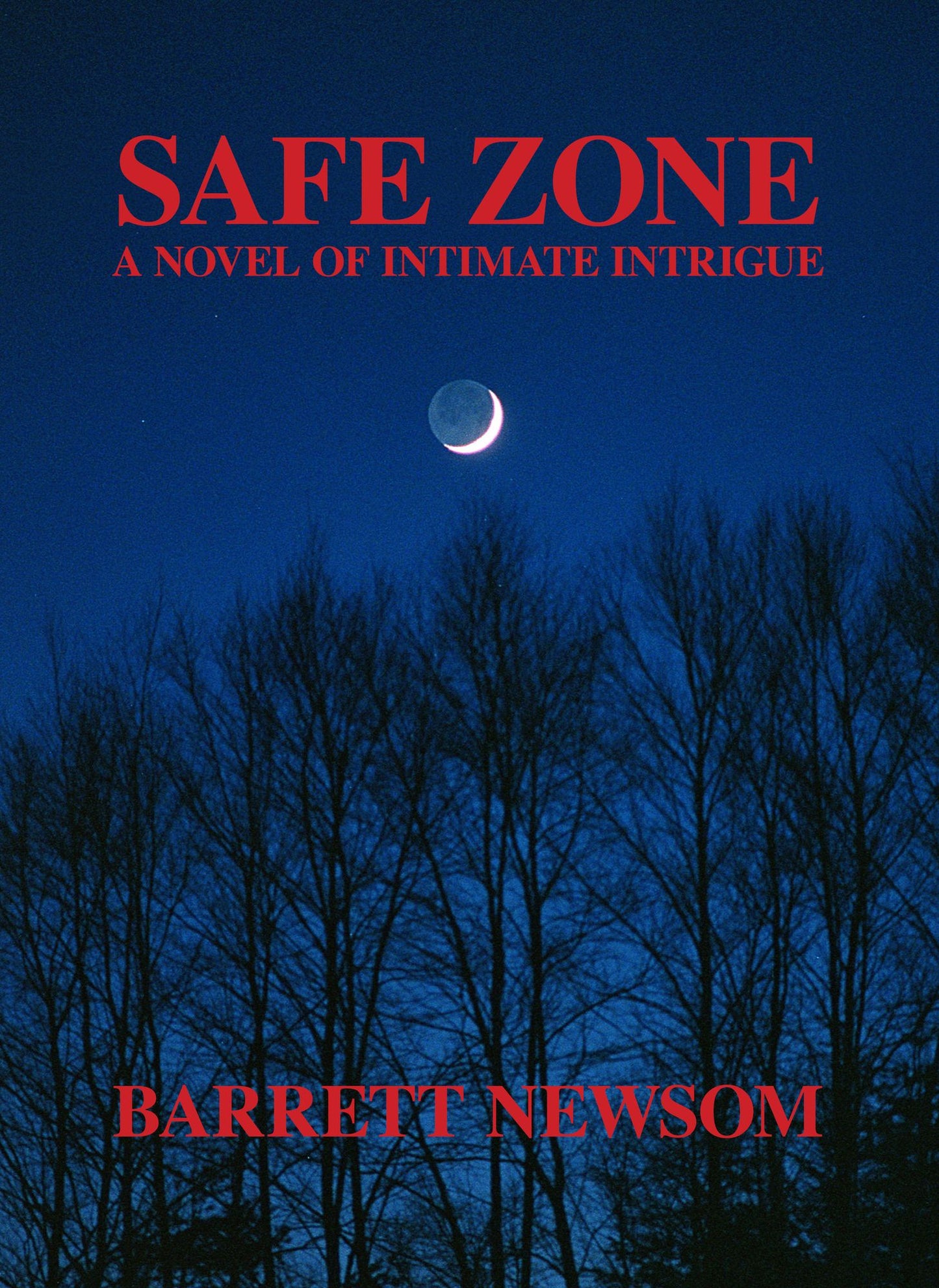 Safe Zone: A Novel of Intimate Intrigue