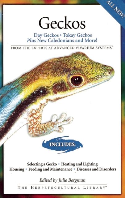 Geckos: Day Geckos, Today Geckos Plus New Caledonians and More!
