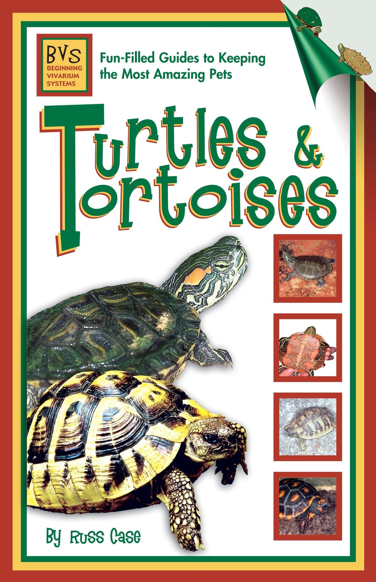 Turtles and Tortoises