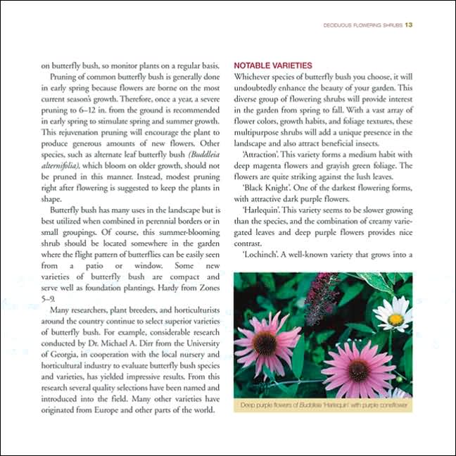 Great Flowering Landscape Shrubs