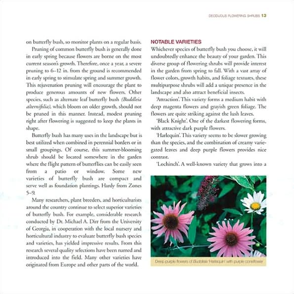 Great Flowering Landscape Shrubs