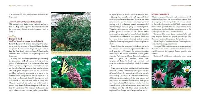 Great Flowering Landscape Shrubs