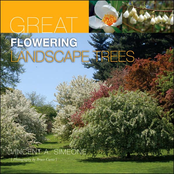 Great Flowering Landscape Trees