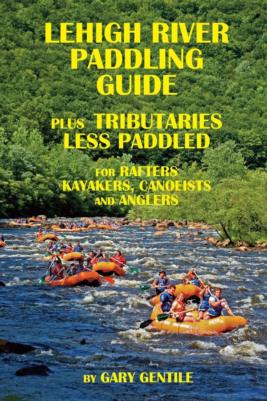 Lehigh River Paddling Guide