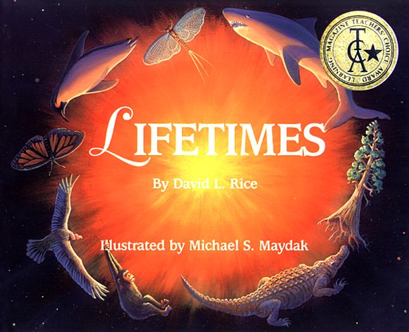 Lifetimes