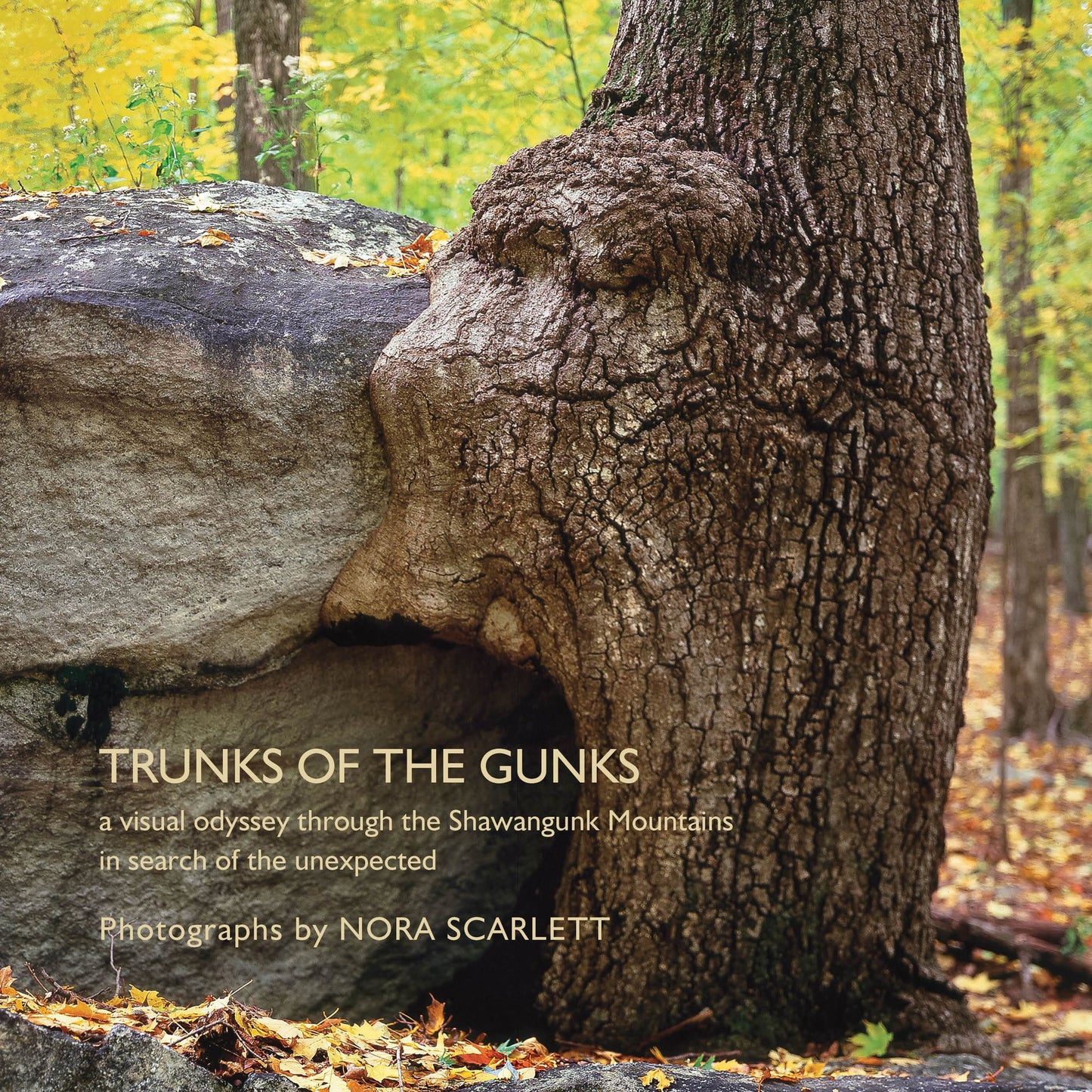 Trunks of the Gunks: A Visual Odyssey Through The Shawangunk Mountains In Search Of The Unexpected