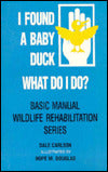 I Found a Baby Duck, What Do I Do?