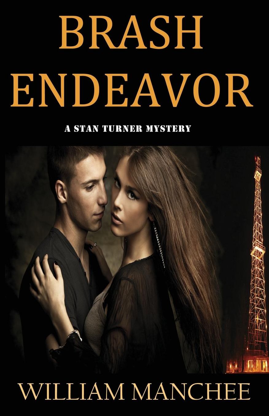 Brash Endeavor (Stan Turner Series #2)