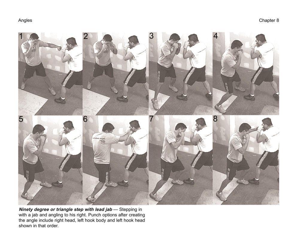 Boxing's Ten Commandments: Essential Training for the Sweet Science