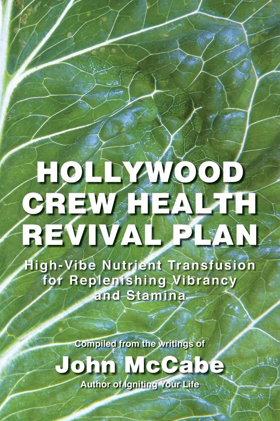 Hollywood Crew Health Revival Plan: High-Vibe Nutrient Transfusion for Replenishing Vibrancy and Stamina