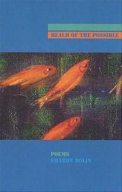 Realm of the Possible
