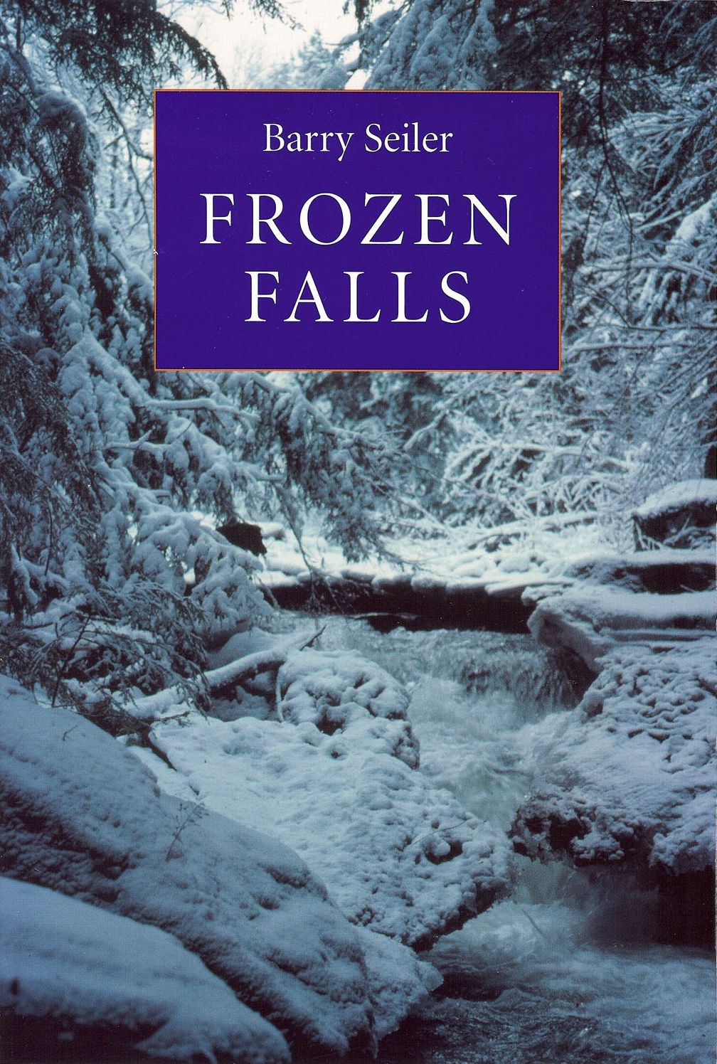 Frozen Falls