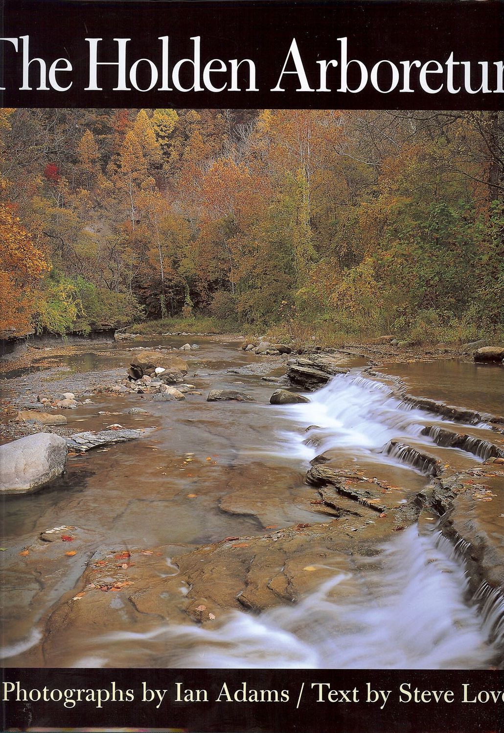 The Holden Arboretum