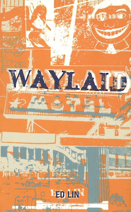 Waylaid Kindle Edition