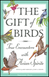 Gift of Birds: True Encounters with Avian Spirits