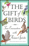 Gift of Birds: True Encounters with Avian Spirits