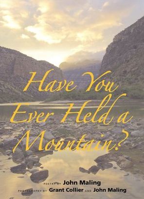 Have You Ever Held a Mountain