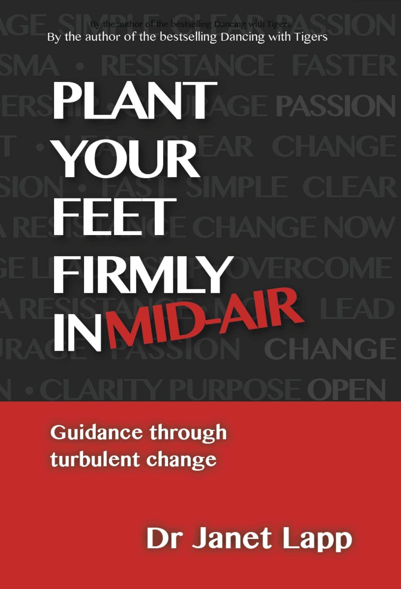 Plant your Feet Firmly in Mid-Air: Guidance Through Turbulent Change