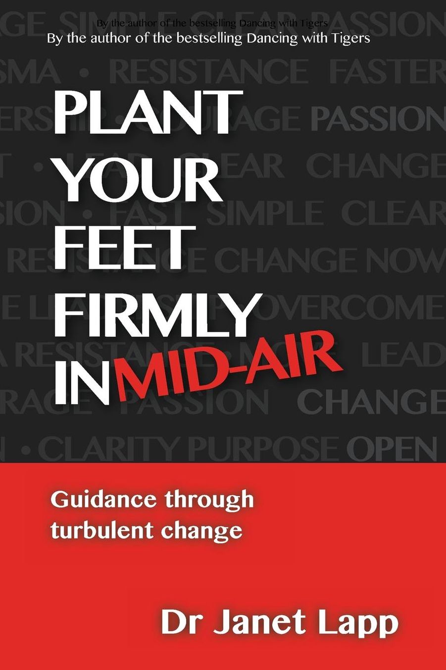 Plant your Feet Firmly in Mid-Air: Leading through turbulent change