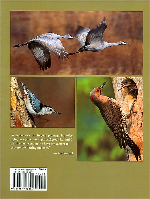 Birds of North America