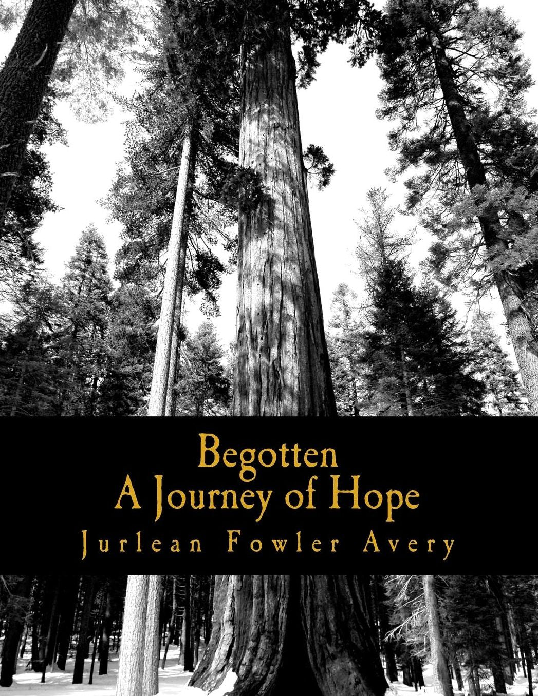 Begotten: A Journey of Hope
