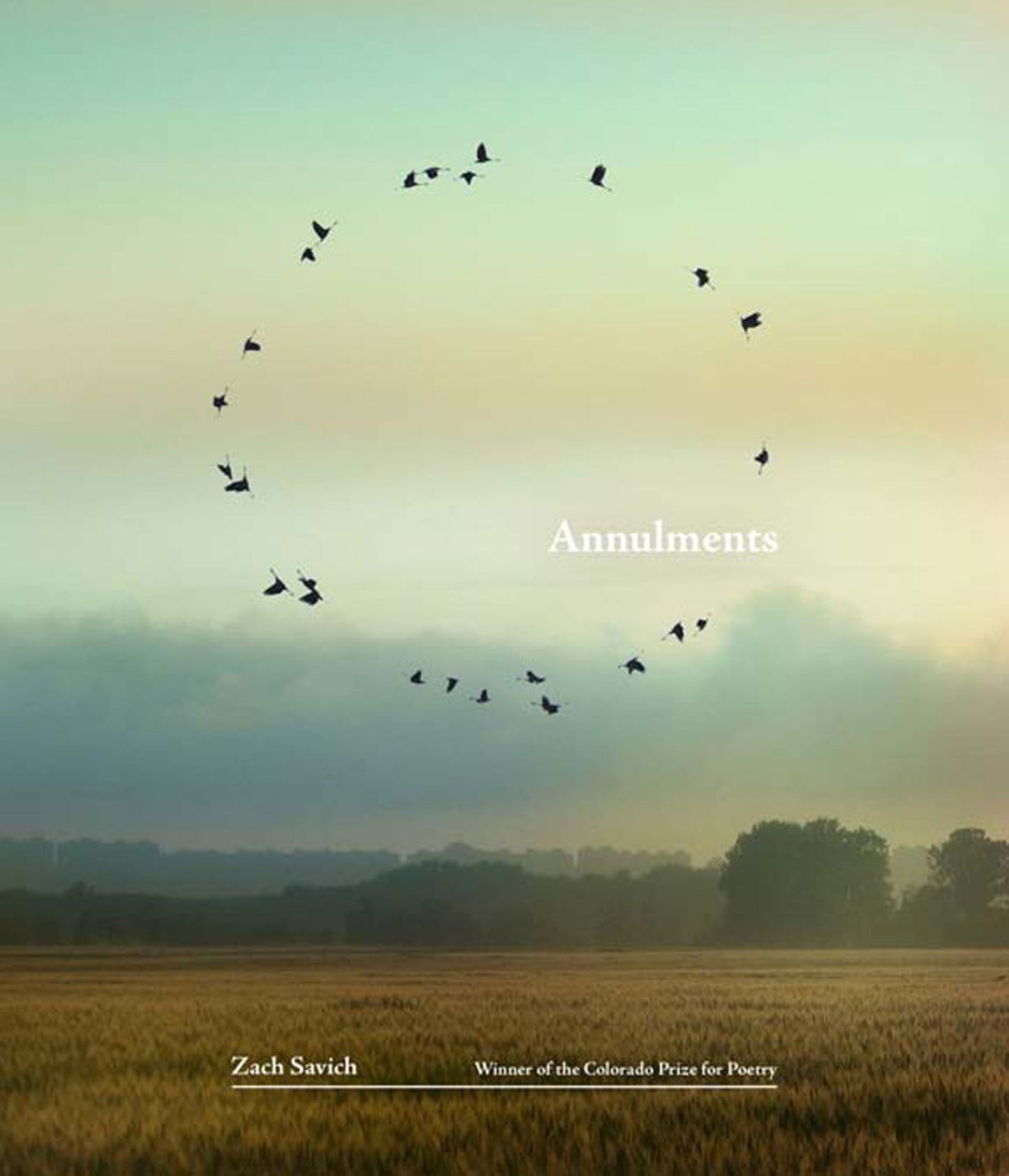 Annulments