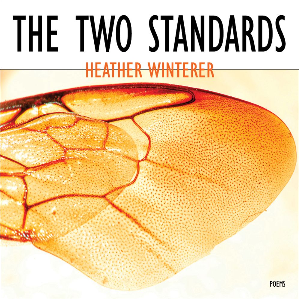 The Two Standards