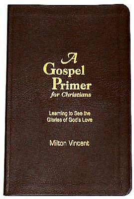 A Gospel Primer for Christians: Learning to See the Glories of God's Love