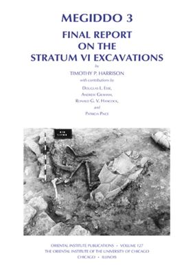 Megiddo 3: Final Report on the Stratum VI Excavations
