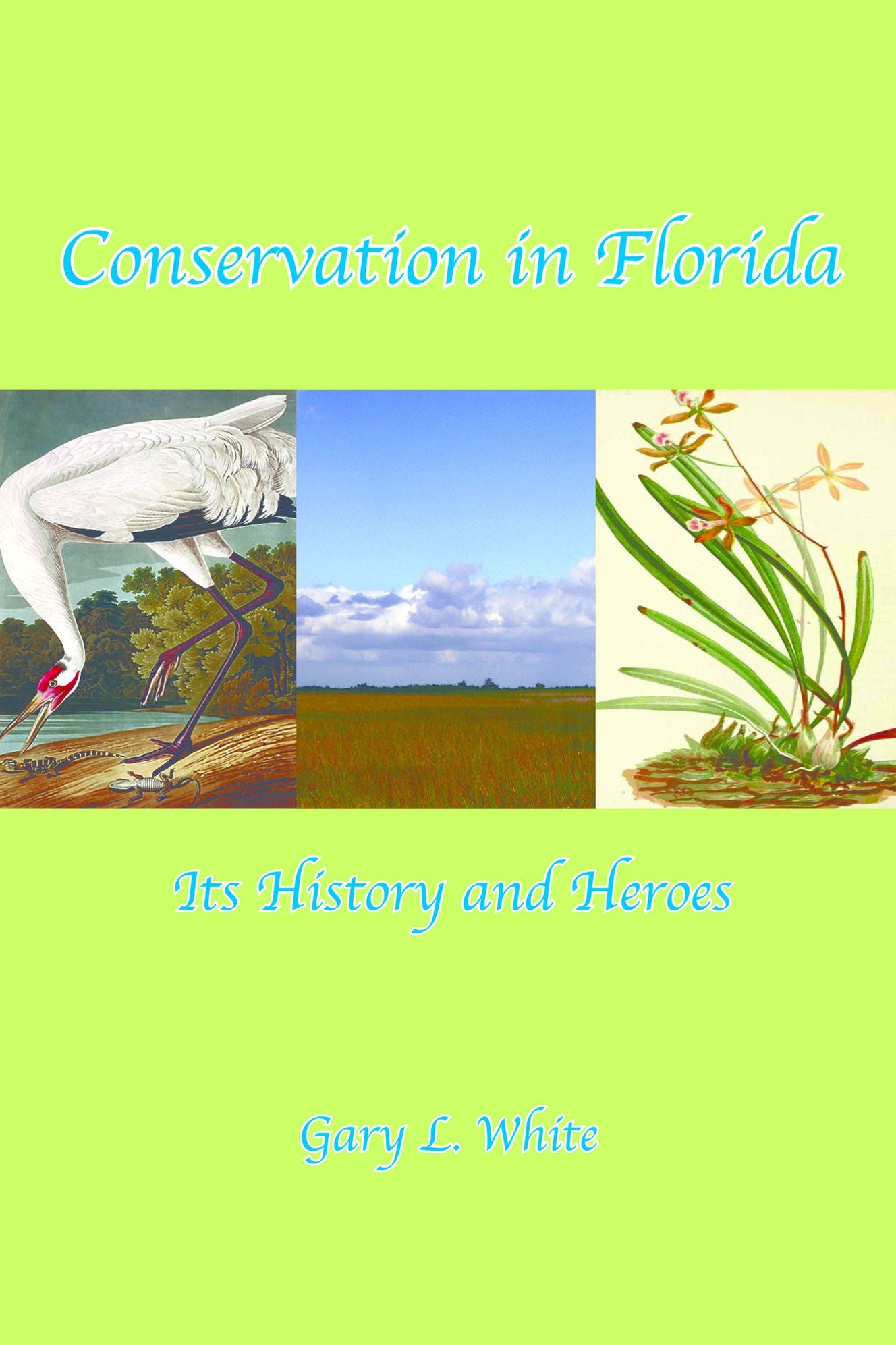 Conservation in Florida: Its History and Heroes