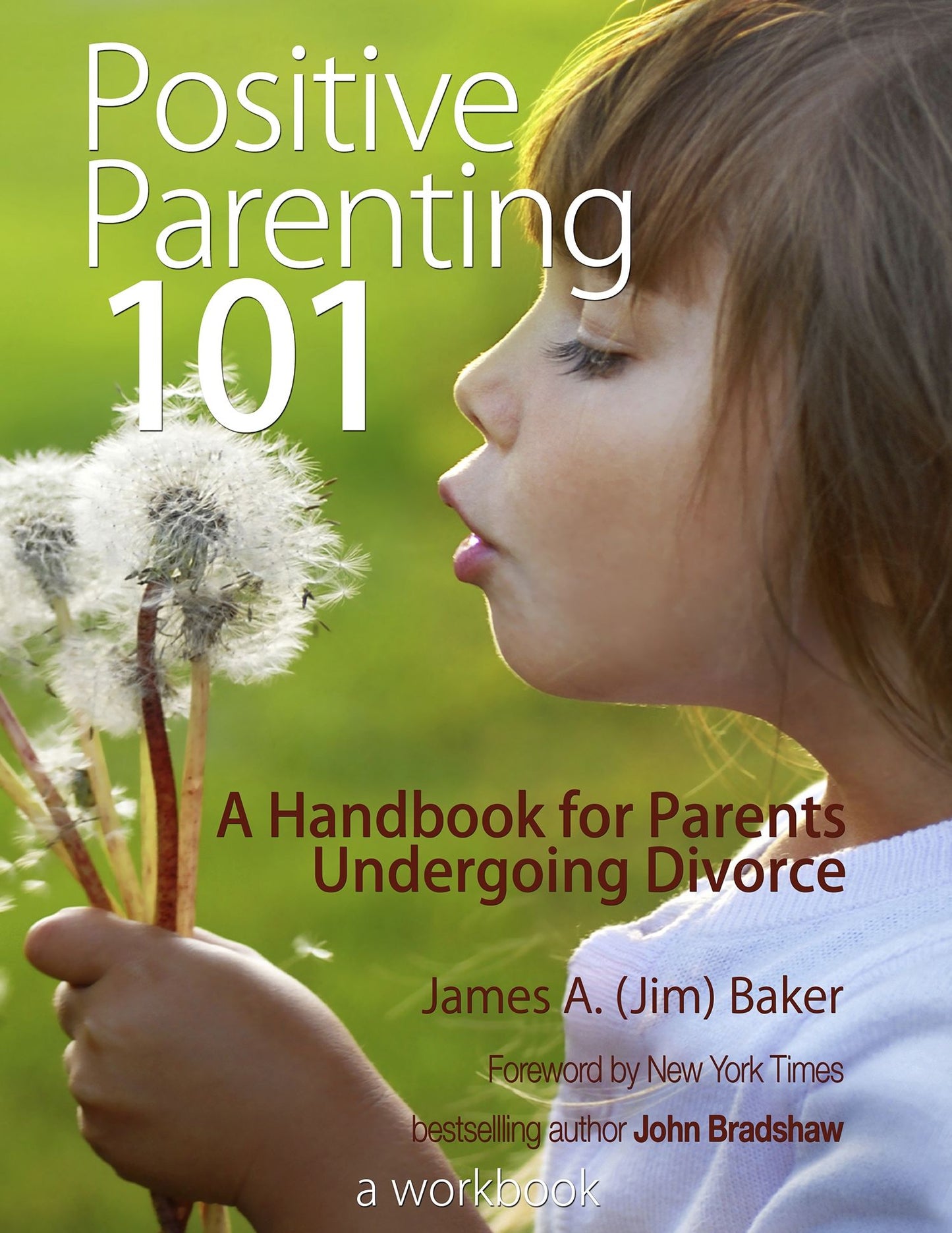 Positive Parenting 101: A Handbook for Parents Undergoing Divorce