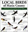 Local Birds of Marin County: Pocket Size