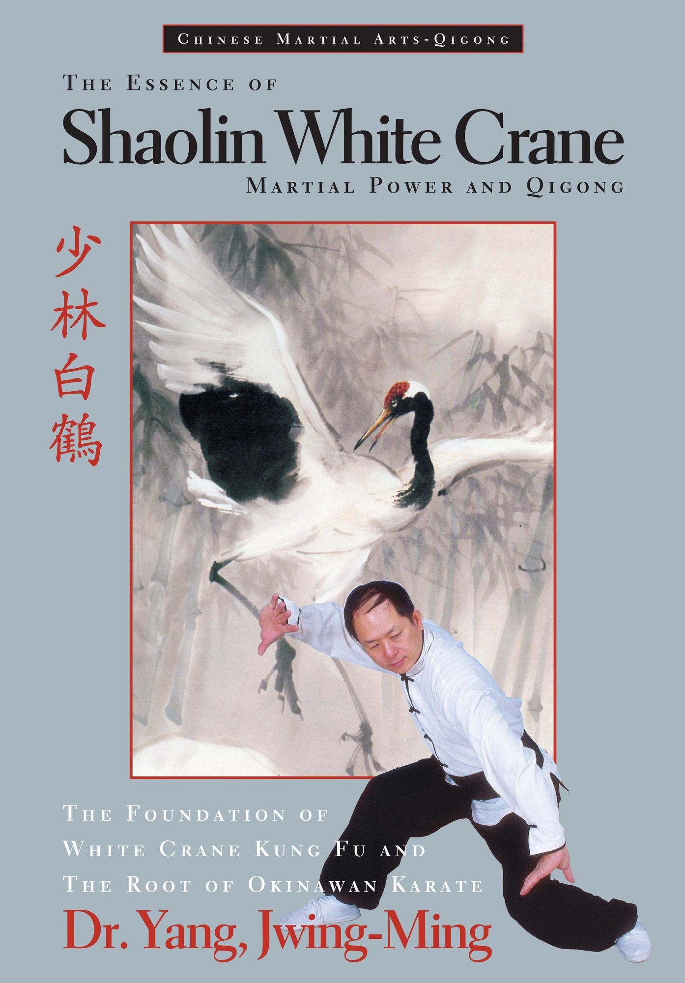 Essence of Shaolin White Crane: Martial Power and Qigong