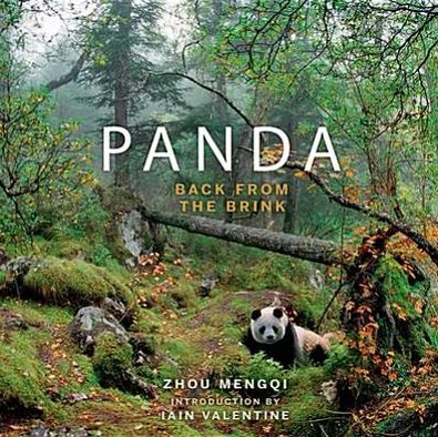 Panda: Back from the Brink. Zhou Mengqi